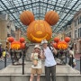 디즈니랜드 도쿄 사진 모음 / 미녀와 야수, 곰돌이 푸우, 먹거리 등