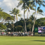[하와이 골프] 소니 오픈, 할레쿨라니 스카이 박스 후기