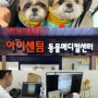 해운대 동물병원 부산 강아지안과, 아이센텀 동물메디컬센터(12살 시츄 눈 검사)