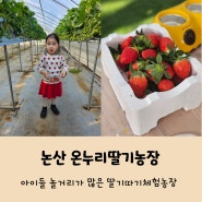 논산 딸기농장체험 온누리딸기농장 추천