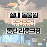 [아기랑 가기 좋은 곳] 실내 동물원 주렁주렁 동탄 라크몽점 내돈내산 방문 후기 아기랑 갈만한 곳