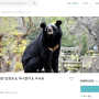 가오슝 서우산 동물원 브이로그