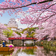 일본 벚꽃 여행 패키지, 2024 봄여행 오사카 후쿠오카 훗카이도 북해도