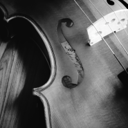 만성동음악학원 바이올린을 배우면 얻을 수 있는 이점