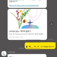 제주스냅 - 소르베제주로 결정 | 견적가 공유