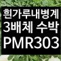 2024년 흰가루내병계 3배체 수박 신품종 <PMR303> 추천드려요