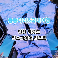 인천 핫플 영종도 가볼만한곳 인스파이어 리조트 고래 오로라 로툰다(주차, 시간)