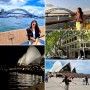 호주 시드니 자유여행 4탄│하버브릿지, 오페라하우스, 록스마켓, 시드니 시내 걷기 마지막날