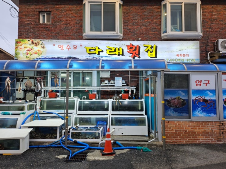 양양 자연산 활어회 맛집 다래횟집 후기 : 네이버 블로그