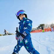 비발디파크 스키강습 초등 9세 스키장 유아 어린이스키 더케이스키스쿨