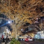 우당탕탕 이틀만에 도쿄가기 <3일차> (2) 도쿄타워, 하라주쿠 일루미네이션, 단다단 교자