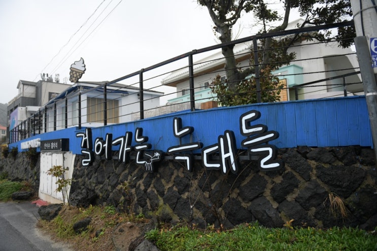 제주여행 6일차(걸어가는늑대들,해녀김밥,구아우,런던베이글...