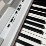 30만원대 입문용 디지털 피아노 듀로 H1 구매후기
