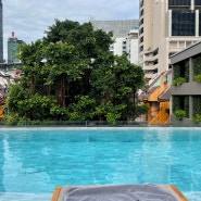 방콕 호텔 수영하고 시암파라곤 푸드코트에서 점심먹기 (+애드립 방콕, 팁싸마이, 고앙 치킨라이스)