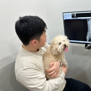 포항 동물병원 추천, 강아지 피검사, X-ray 비용 후기