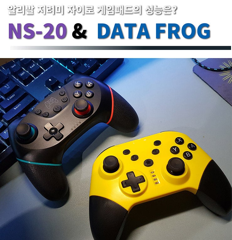 알리발 육축 자이로 지원 저려미 짭 프로 컨트롤러 게임패드 2종 NS-20 & DATA FROG PC 연결 후기 : 네이버 블로그