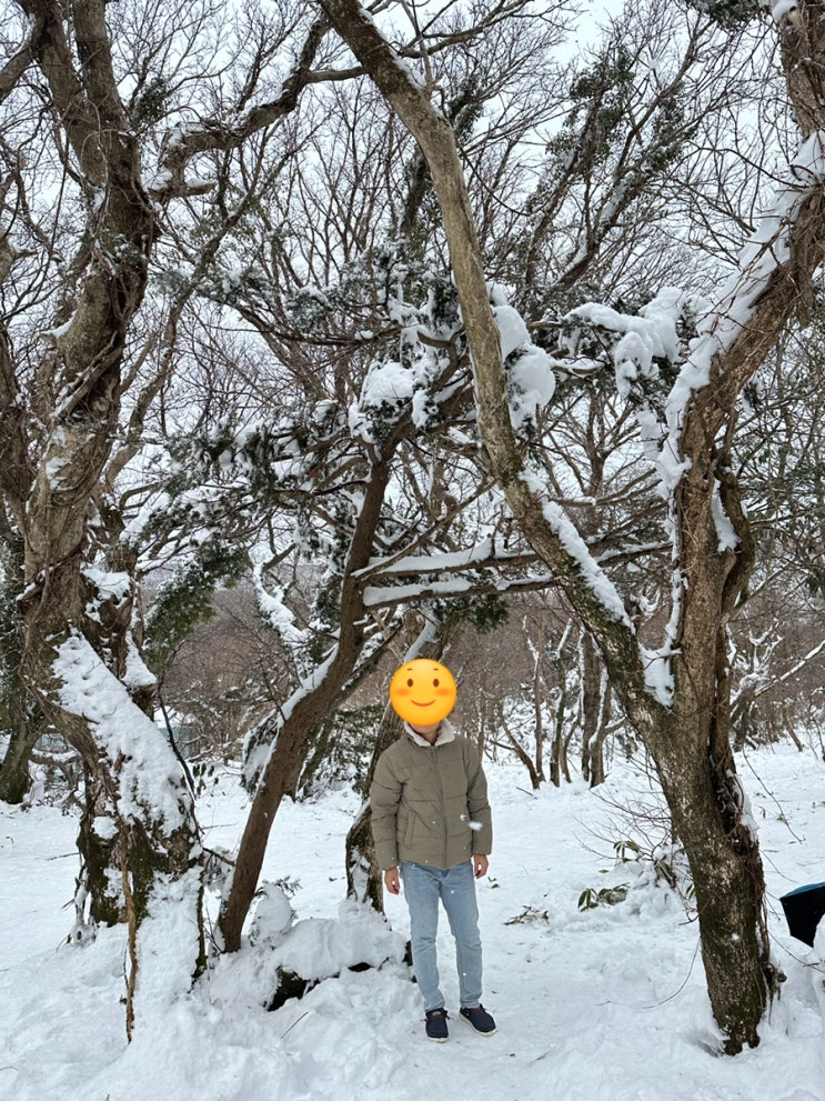 제주 겨울여행 차로 갈 수 있는 설경 포토존 1100고지 주차...