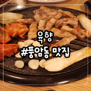 [풍암동 맛집] 회식하기 좋은 고기 맛집 "육향"