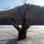 청송 주산지 주차팁 주왕산 국립공원