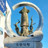 강릉 주문진 가볼만한곳,주문진 수산시장 안에 있는 무료 해양박물관