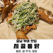 [부여 맛집] 시골통닭｜통닭, 파 추가(백종원 맛집, 파닭, 포장)