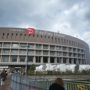 페이페이돔 콘서트와 함께한 후쿠오카여행