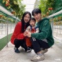 천안 체험활동 19개월 아기 겨울 실내 딸기농장체험 천안딸기힐링팜