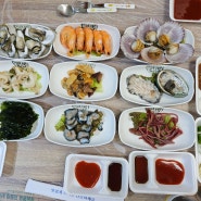 24번째 식당 / 황금어장 / 강원 속초 : 대포항 회 해산물 맛집