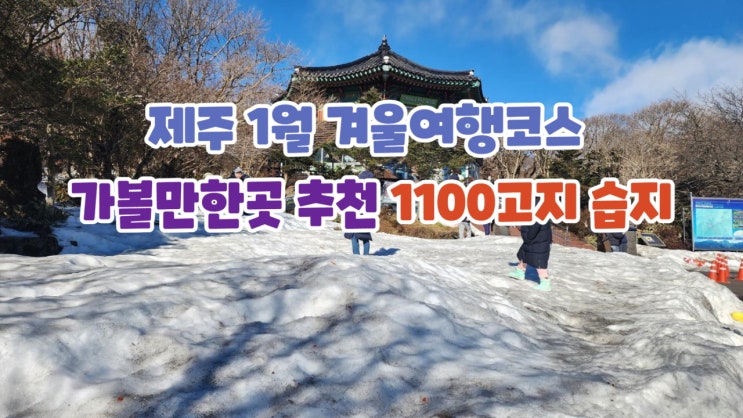 제주 1월 겨울여행코스 가볼만한곳 추천 1100고지 습지