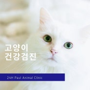 분당 24시 동물 병원 고양이 건강검진 항목과 비용