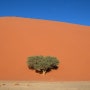 아프리카 종단 한달 여행, 나미비아 여행 사막 데드블레이 후기