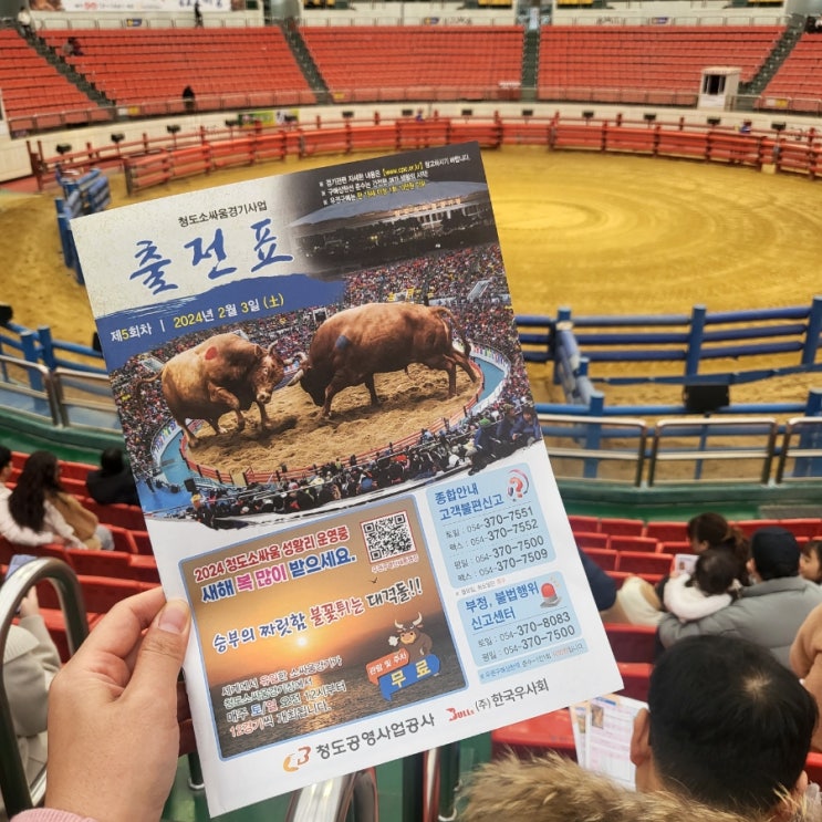 가볼만한곳]청도소싸움미디어체험관 & 청도소싸움경기장