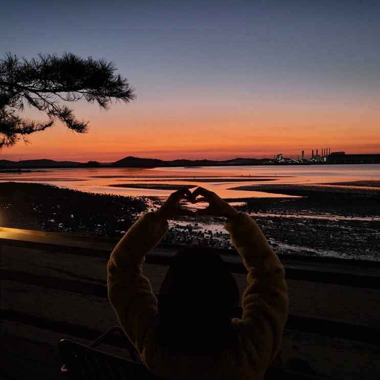 태안 바다 캠핑장 스테이인터뷰 개별화장실 사이트 리뷰