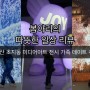 [안산 초지동 맛집] 몽환 - 안산 미디어아트 전시 데이트 & 아이와 가기 좋은 가족모임 장소 추천 ! 💛