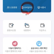 서울 다둥이카드 발급 혜택과 모바일카드 서울지갑앱