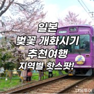 2024 일본 벚꽃 개화시기 / 지역별 벚꽃 명소 추천여행
