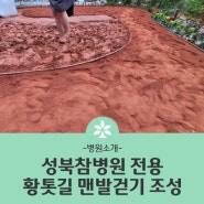 [서울대병원 근처 암 요양병원 성북참요양병원] 황토 산책, 황톳길(황토길) 맨발걷기 조성