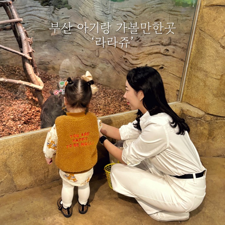 [부산 실내 가볼만한곳] '라라쥬'ㅣ명지 실내동물원, 아기랑...