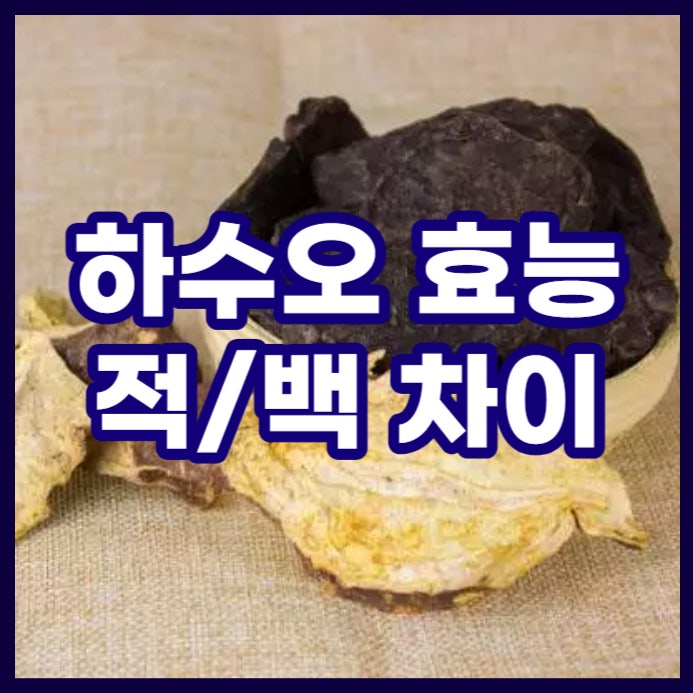 하수오 효능과 독성. 백하수오 적하수오 차이점 : 네이버 블로그