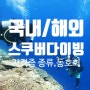 스킨 스쿠버다이빙 자격증 종류 / 강의 / 크루의 동호회까지 한큐!