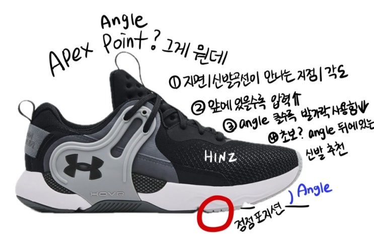 러닝잘하는 방법/ 러닝화 추천, 카본플레이트와 apex point/angle - 러닝앤필라테스 #2 : 네이버 블로그