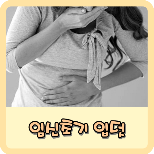 임신초기 입덧 시기 원인 치료방법에 대해 알아보자 : 네이버 블로그
