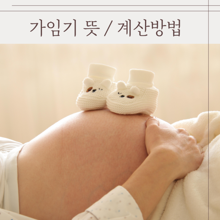 가임기 뜻 계산 임신되는기간 임신확률 생리후 출산후 임신가능성 : 네이버 블로그