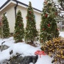 [5도2촌] 흰 눈이 펑펑내리는 시골집에서 크리스마스 파티