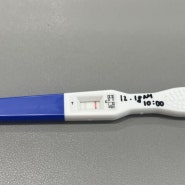 4주차아기집확인 후 임신확인서 발급 + 장유서부보건소 임신초기검사