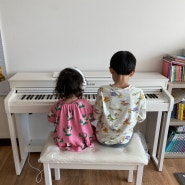 8살 생일 선물, 뮤디스 MF-300L PLUS 해머건반 디지털 피아노, 내돈내산