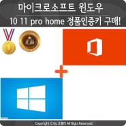 마이크로소프트 윈도우 10 11 pro home 정품인증키 구매!