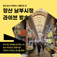 경남 지역명소 양산남부시장! 시장의 맛있는 음식을 소개하는 라이브커머스 행사!