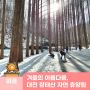 가을을 뛰어넘는 겨울의 아름다움, 대전 장태산 자연 휴양림