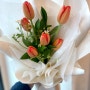 청라꽃집 스펠로플라워의 자몽 튤립 꽃다발 꽃말